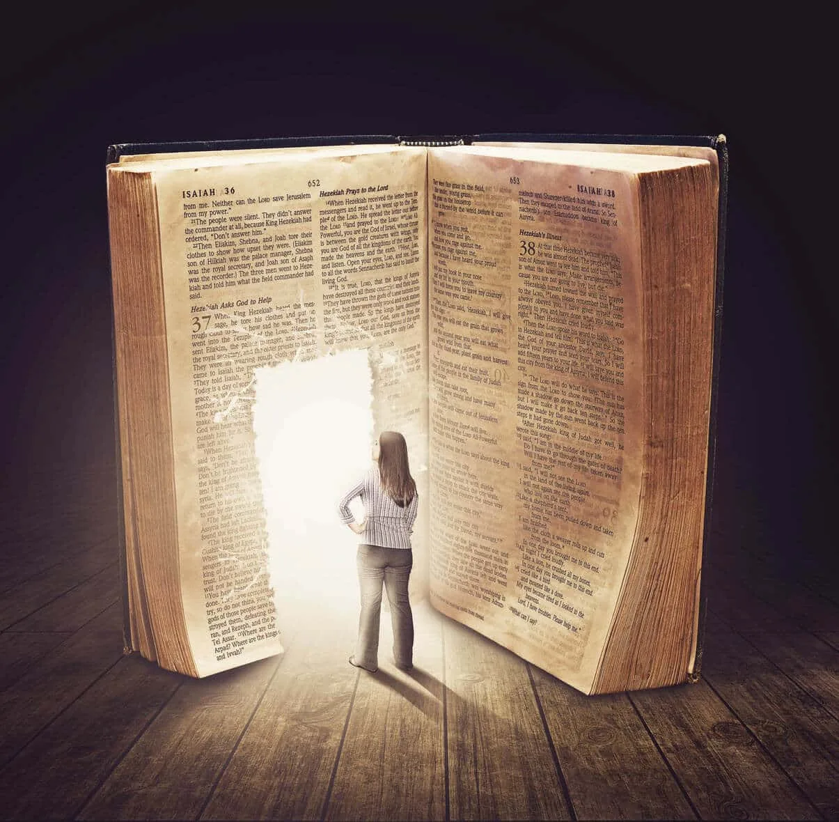 Bible Super Search 600